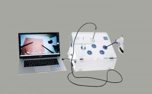 factory low price Smailedical-01 Visual Medical Laparoscopic Kit Laparoscopy Trainer Simulator Teaching Model